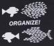 Zum Fairtrade T-Shirt "Organize! Fische" für 19,45 € gehen.