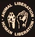 Zum Tanktop "Animal Liberation - Human Liberation" für 15,00 € gehen.