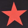 Zum Fairtrade T-Shirt "Roter Stern" für 19,45 € gehen.