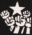 Zum T-Shirt "Fist and Star" für 15,00 € gehen.