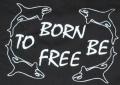 Zum Longsleeve "Born to be free" für 15,00 € gehen.