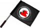 Zur Artikelseite von "Antifaschistische Aktion (Enten)", Fahne / Flagge (ca. 40x35cm) für 15,00 €