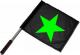 Zur Artikelseite von "Grüner Stern", Fahne / Flagge (ca. 40x35cm) für 15,00 €