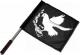 Zur Artikelseite von "Taube mit Molli", Fahne / Flagge (ca. 40x35cm) für 15,00 €