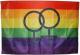 Zur Artikelseite von "Pride female", Fahne / Flagge (ca. 150x100cm) für 25,00 €