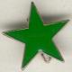 Zur Artikelseite von "grüner Stern", Anstecker / Pin für 3,00 €