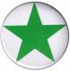 Zur Artikelseite von "Grüner Stern", 25mm Magnet-Button für 2,00 €