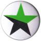 Zur Artikelseite von "schwarz/grüner Stern", 25mm Magnet-Button für 2,00 €