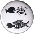 Zur Artikelseite von "Fische", 25mm Button für 0,90 €