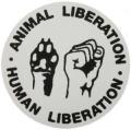 Zum Aufkleber "Animal Liberation - Human Liberation" für 1,00 € gehen.